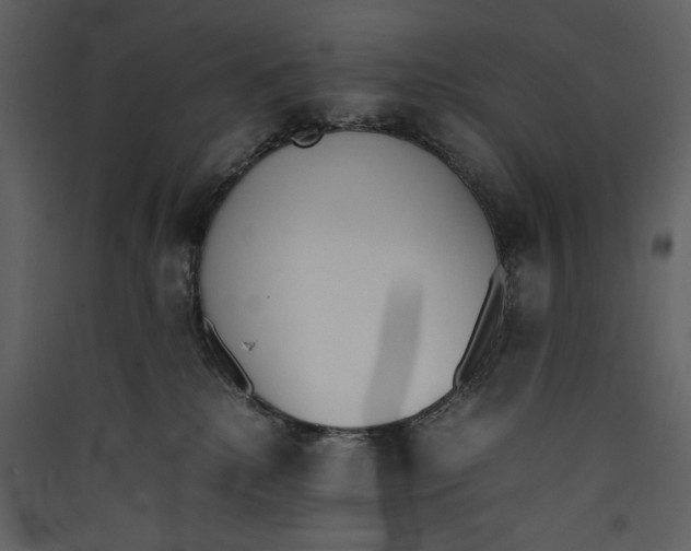 X0000089400280200707131746