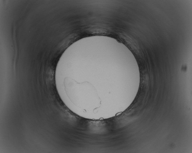 X0000089400281200707131746
