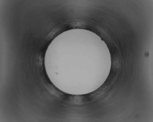 X0000089400282200707131746