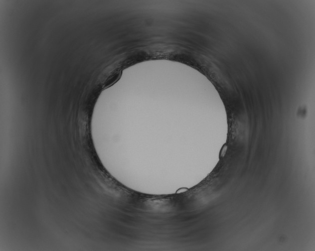X0000089400283200707131746