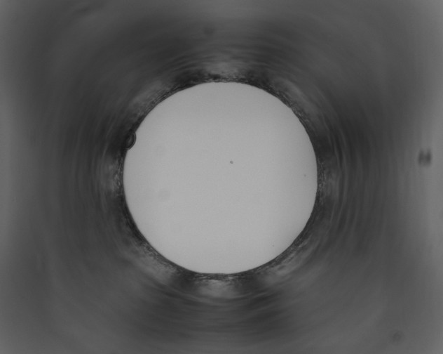 X0000089400285200707131746