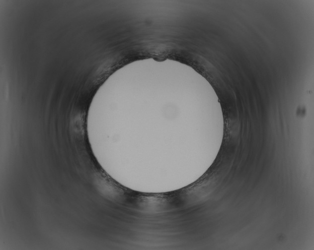 X0000089400286200707131746