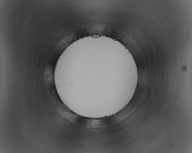 X0000089400287200707131746