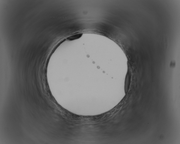 X0000089400289200707131745