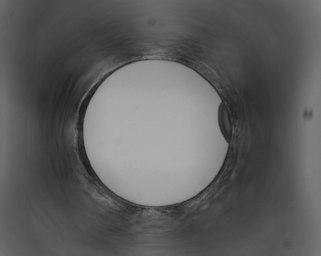 X0000089400290200707131745