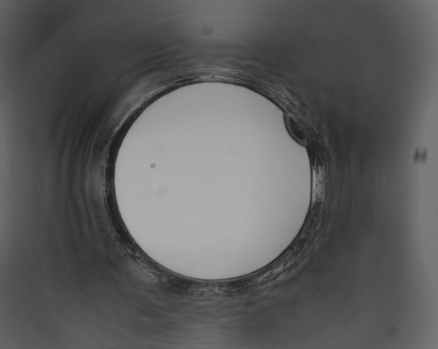 X0000089400291200707131745