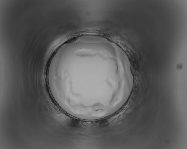 X0000089400293200707131745