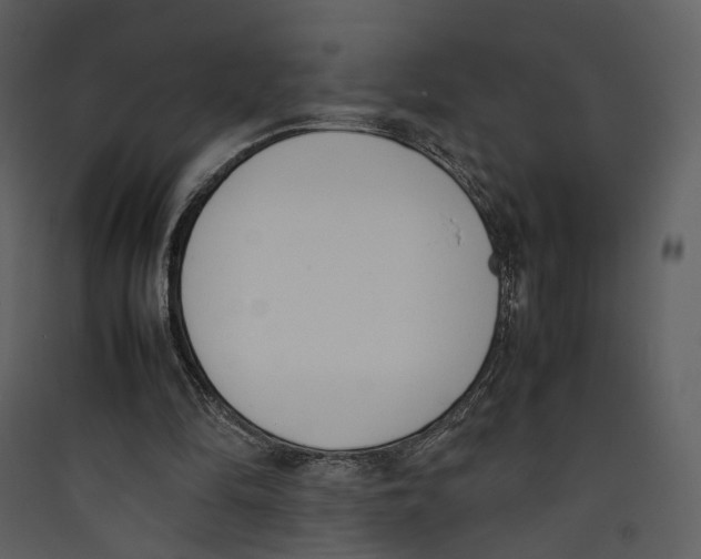 X0000089400294200707131745