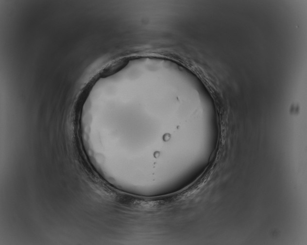 X0000089400295200707131745