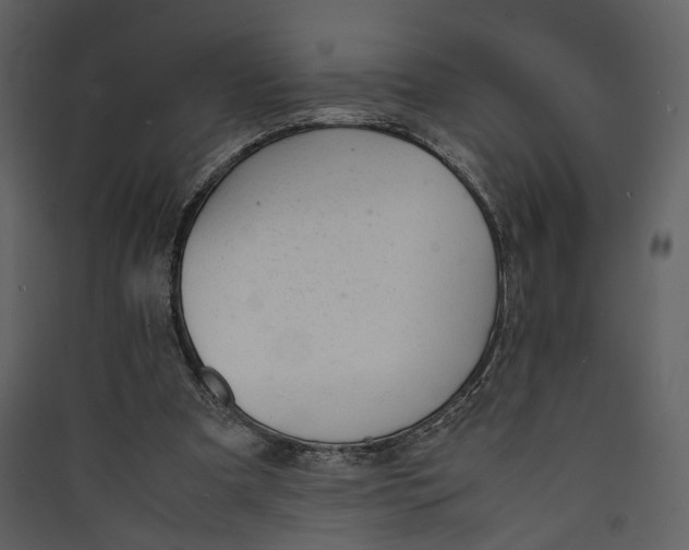X0000089400297200707131745
