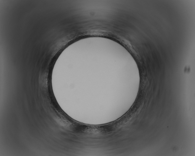 X0000089400299200707131745