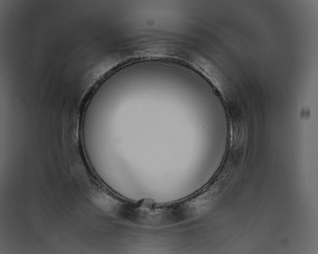 X0000089400301200707131745