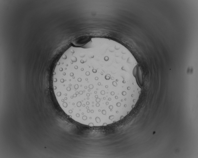 X0000089400303200707131745