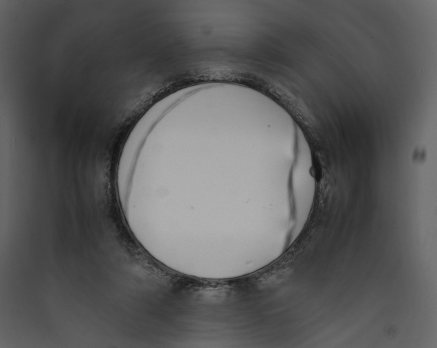 X0000089400306200707131745