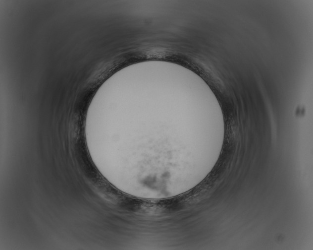 X0000089400311200707131745