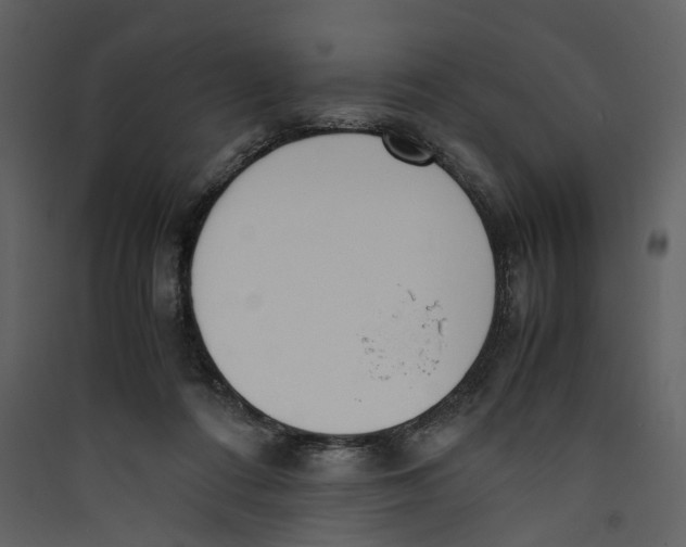 X0000089400312200707131745