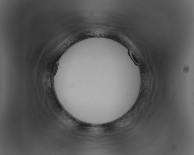 X0000089400313200707131745