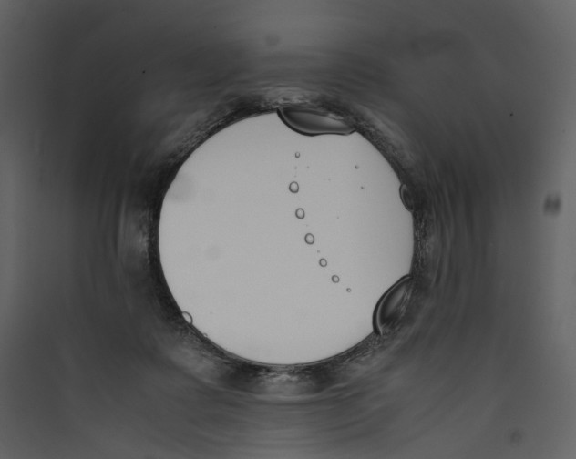 X0000089400315200707131745