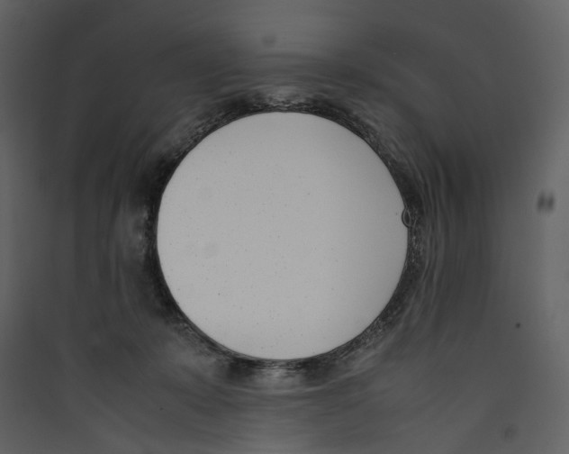 X0000089400319200707131745