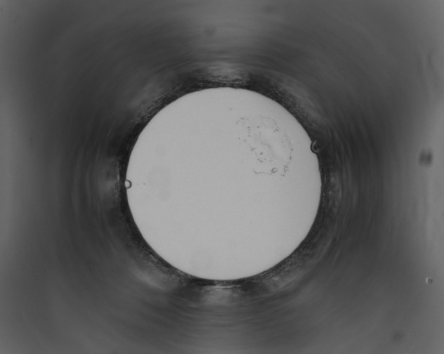 X0000089400320200707131745