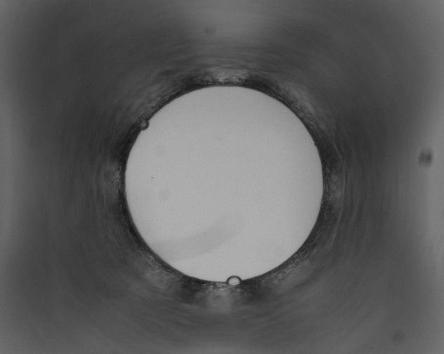 X0000089400321200707131745