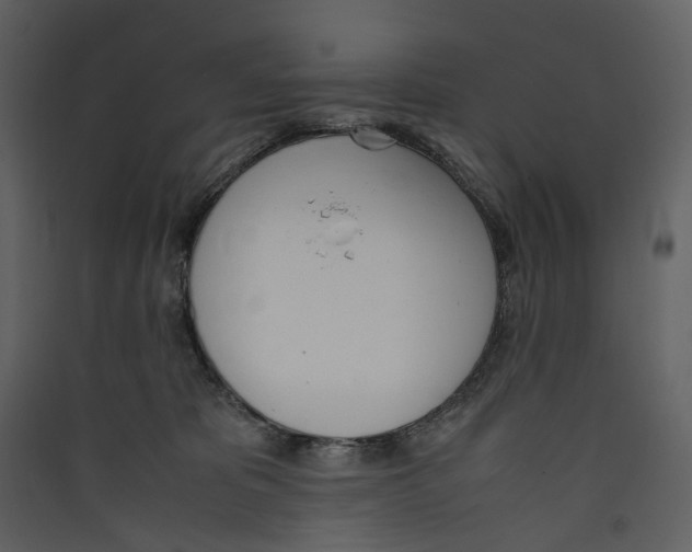 X0000089400325200707131745