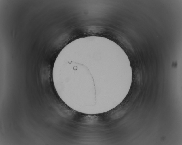 X0000089400328200707131745