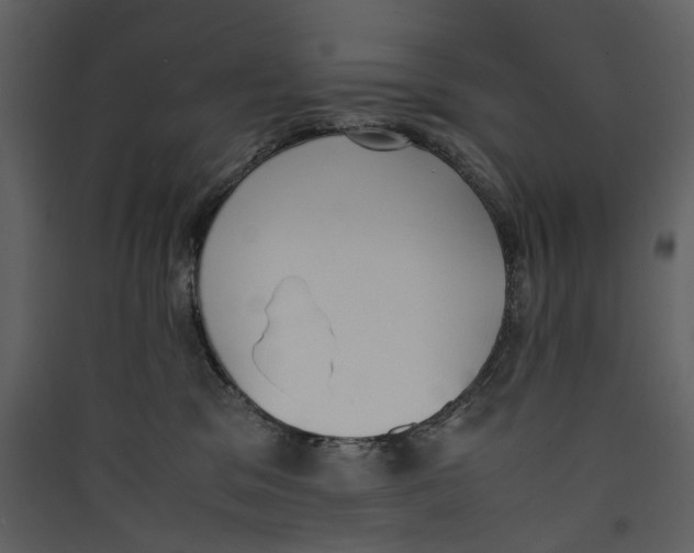 X0000089400329200707131745