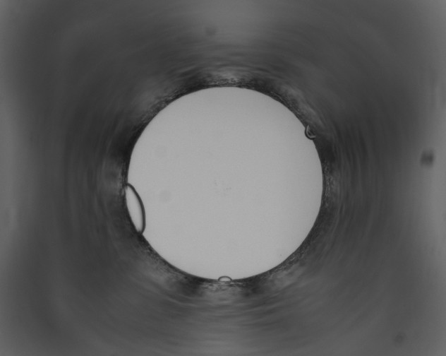 X0000089400331200707131745