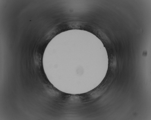 X0000089400332200707131745