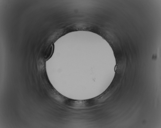 X0000089400335200707131745