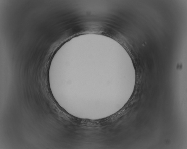 X0000089400337200707131744