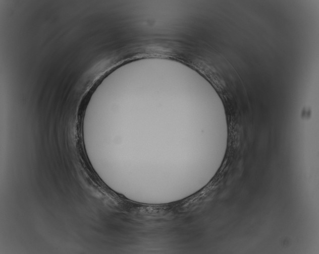 X0000089400338200707131744