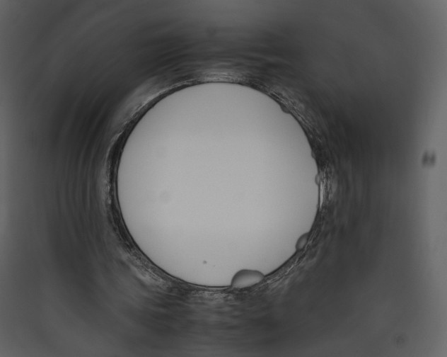 X0000089400339200707131744
