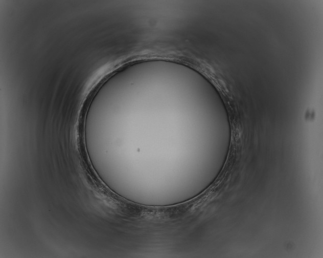 X0000089400340200707131744