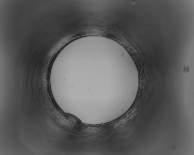 X0000089400341200707131744