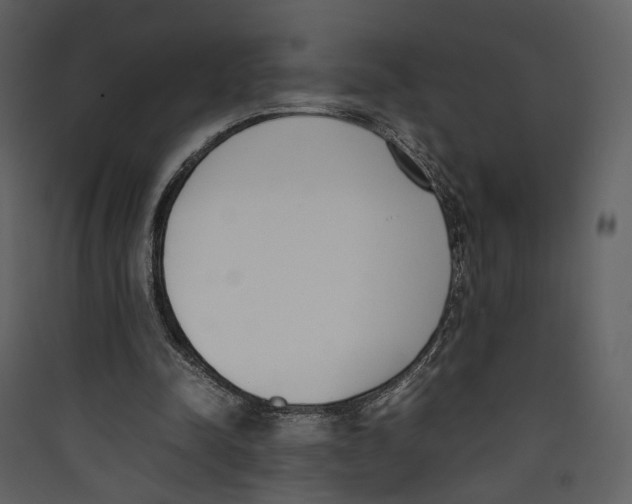 X0000089400342200707131744