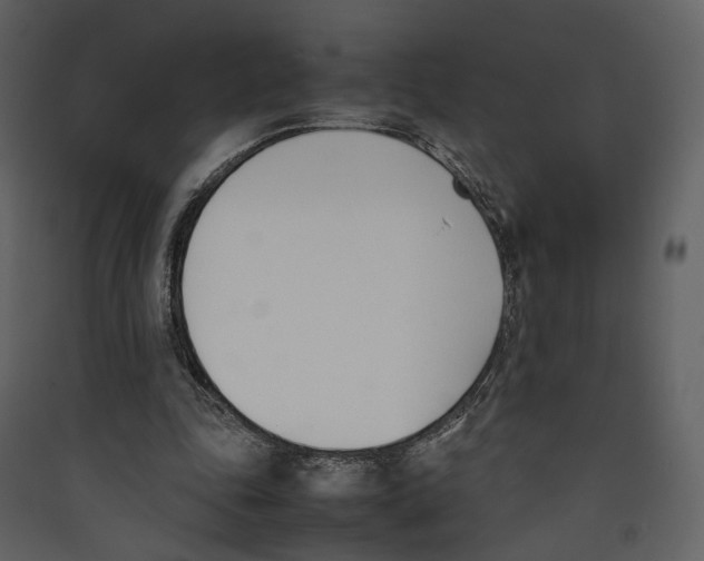 X0000089400343200707131744