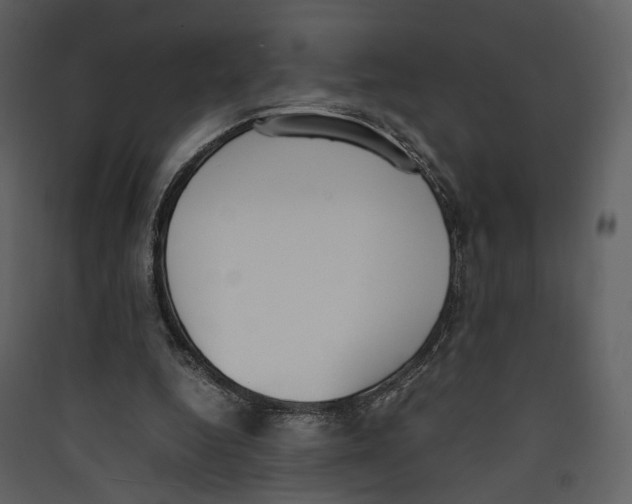 X0000089400344200707131744