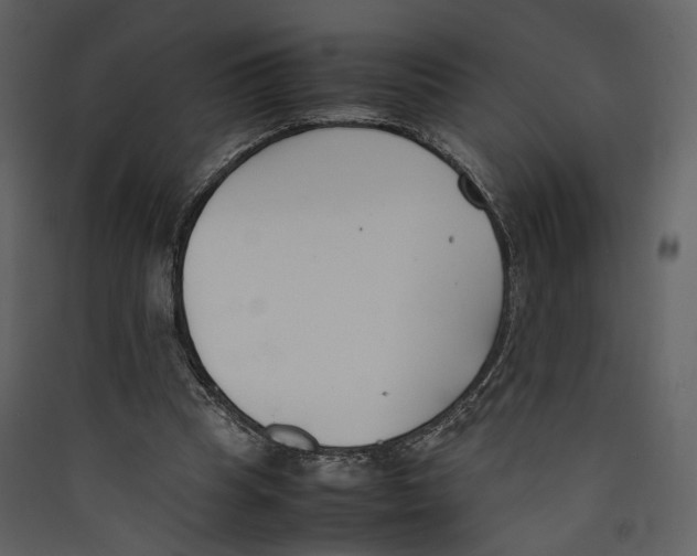 X0000089400345200707131744