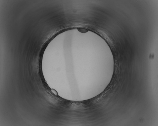 X0000089400346200707131744