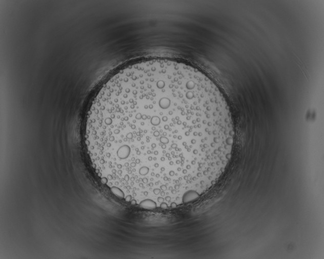 X0000089400347200707131744