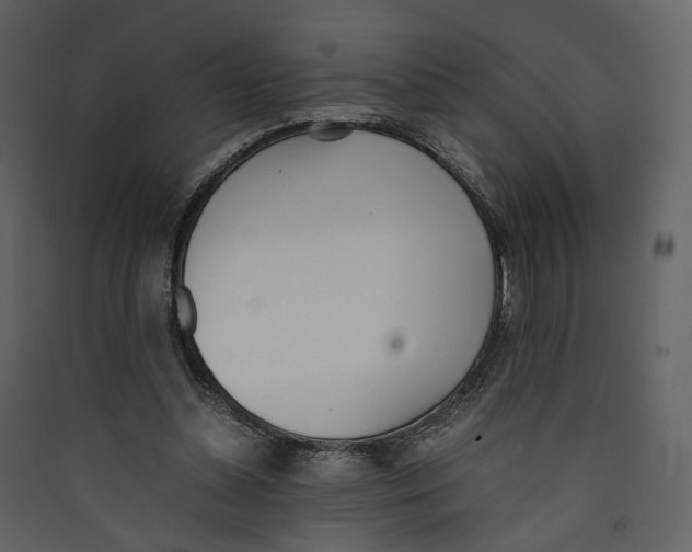 X0000089400348200707131744