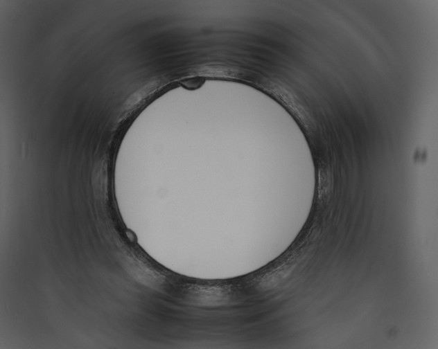 X0000089400349200707131744