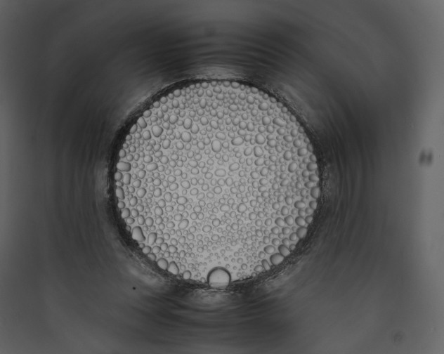 X0000089400351200707131744