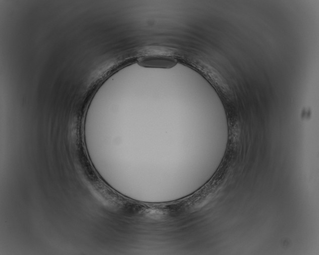 X0000089400352200707131744