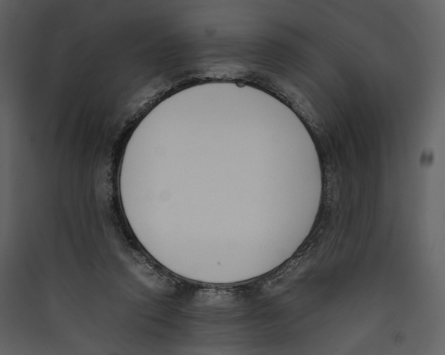 X0000089400354200707131744