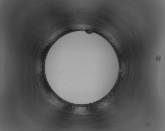 X0000089400355200707131744