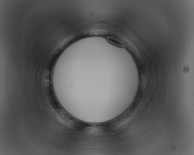 X0000089400356200707131744