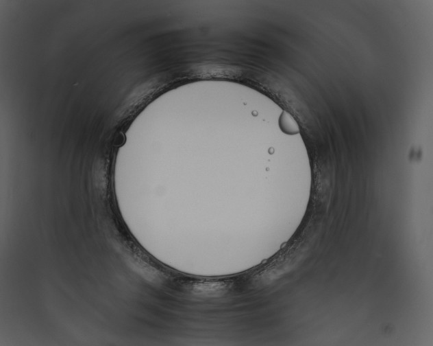 X0000089400357200707131744